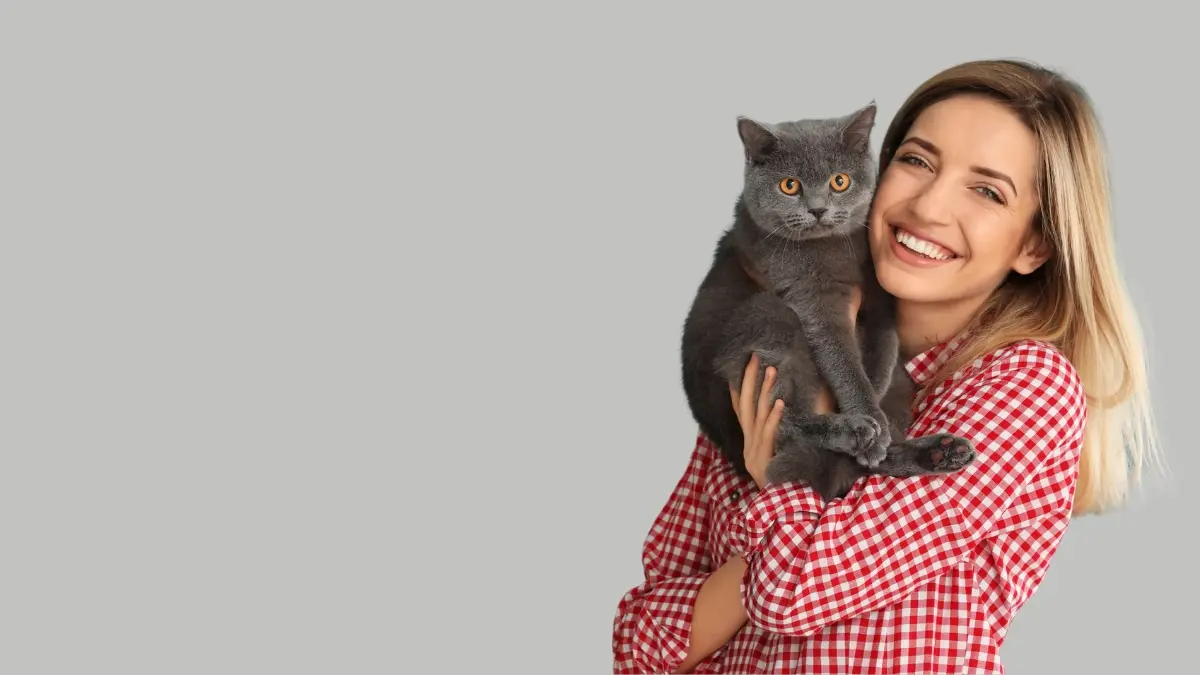 MyPetist 10 cat-pet-blog