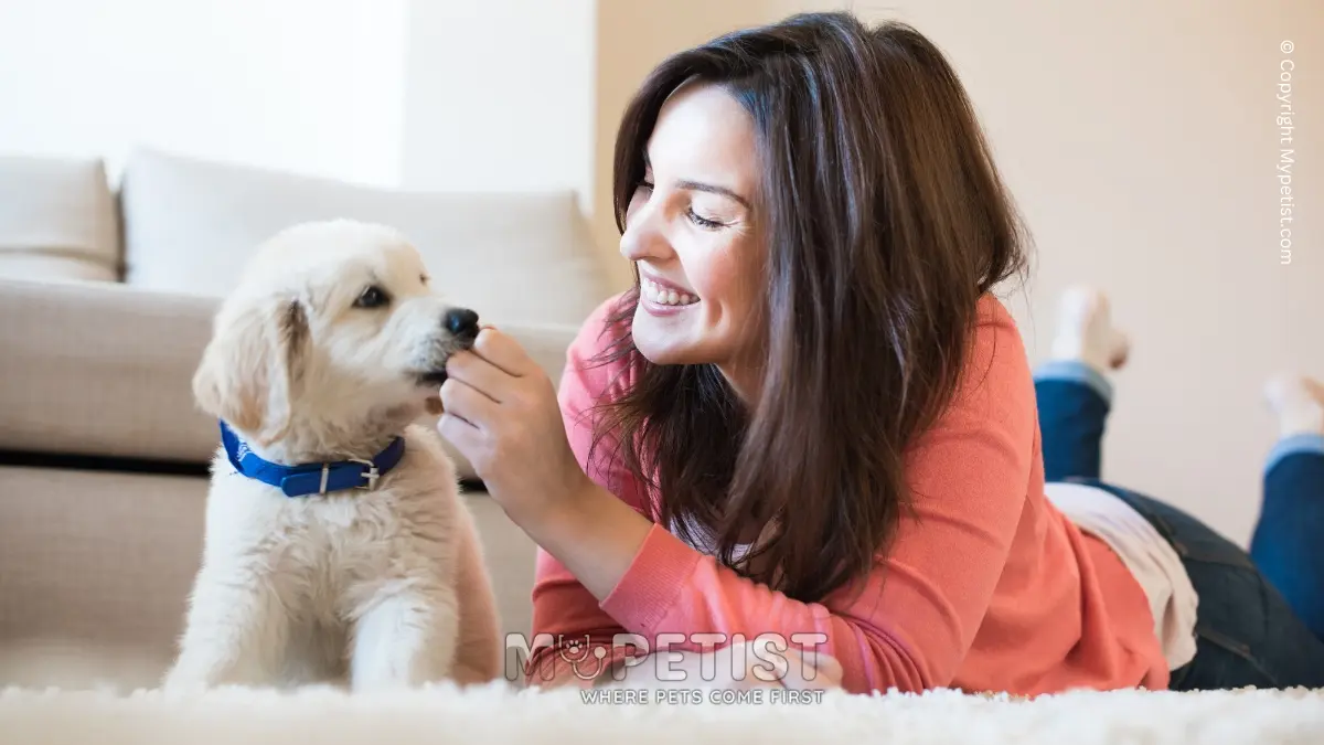 How To House Training Your Puppy Tips And Tricks For Success Where