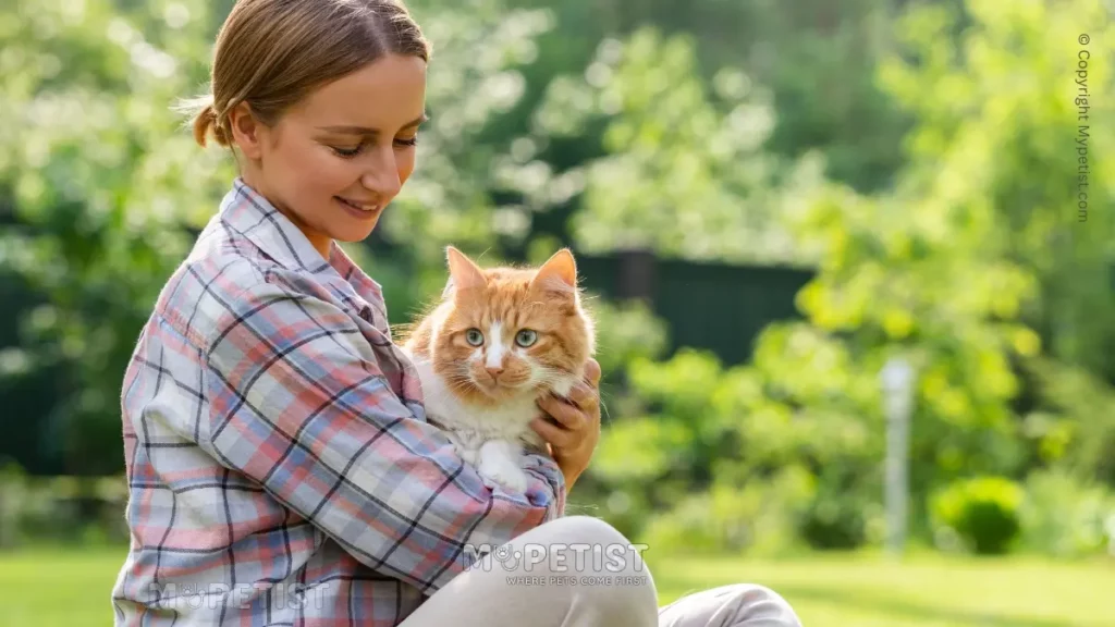 Top 10 Best Cat Toys of 2023 to Keep Your Kitty Entertained 1 the-benefits-of-owning-a-cat