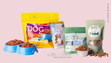 the-ultimate-guide-to-pet-nutrition-what-to-feed-your-furry-friend
