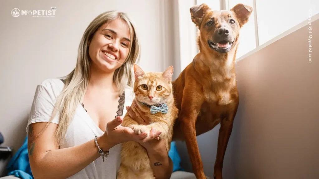 Tips for Introducing A New Pet to Your Current Pet 1 tips-for-introducing-a-new-pet-to-your-current-pet