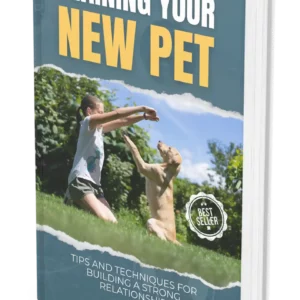 training-your-new-pet-tips-and-techniques-for-building-a-strong-relationship