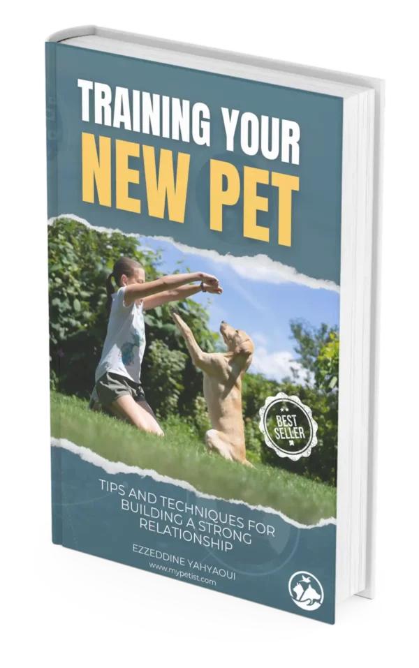 training-your-new-pet-tips-and-techniques-for-building-a-strong-relationship