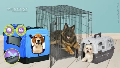 how-to-pick-the-right-size-crate-for-your-dog